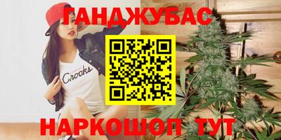 мдпв Бердск