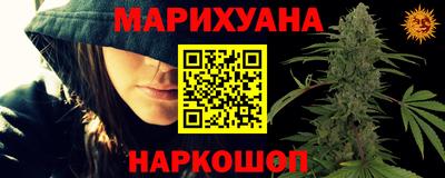 мдпв Бердск