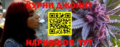 мдпв Бердск