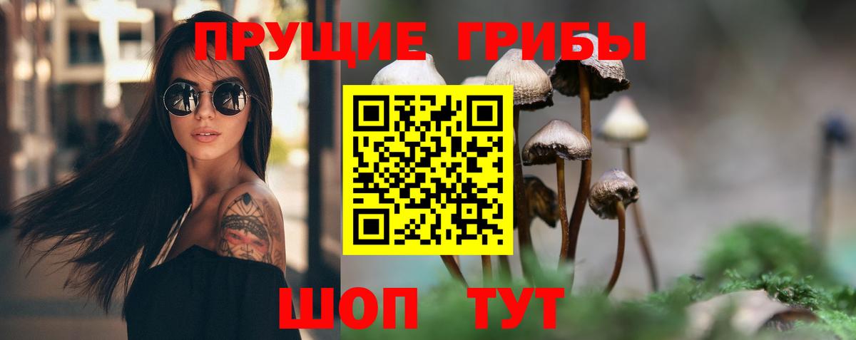 Галлюциногенные грибы мицелий  Псилоцибиновые грибы прущие грибы  Ачхой-Мартан  Вход с VPN 